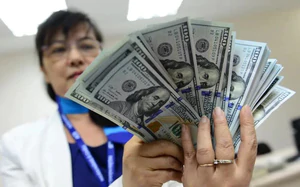 Fed rate-hike risks mount as Vietnamese market braces for volatility - Ảnh 2.