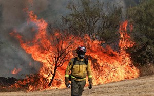 Record wildfires burn more than 1 million hectares of EU land this year - Ảnh 3.