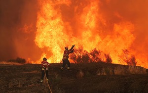 Record wildfires burn more than 1 million hectares of EU land this year - Ảnh 2.