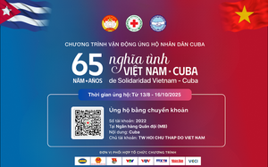 Cuba’s top leader to attend Vietnam’s 80th National Day celebration during state visit- Ảnh 2.