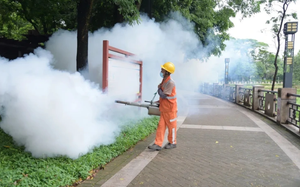 Hanoi steps up dengue fever, Chikungunya prevention ahead of National Day holidays - Ảnh 3.