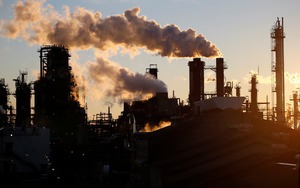 Japan dishonored with fossil award from int'l NGO- Ảnh 2.