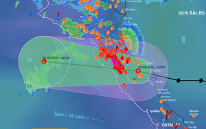 3 storms may hit East Vietnam Sea in September- Ảnh 2.
