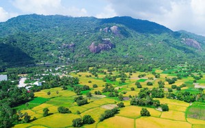 Tourists flock to An Giang’s sugar palm fields, historic caves during National Day holiday- Ảnh 7.