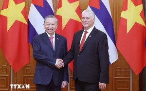 Ho Chi Minh City pledges continued support for Cuba- Ảnh 2.