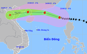 Storm Bualoi forecast to enter East Vietnam Sea this weekend- Ảnh 3.
