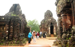 Getting lost in the sacred valley of Vietnam’ My Son Sanctuary, where ancient bricks tell a thousand-year story - Ảnh 15.