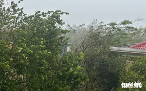 Trường học ở Hà Tĩnh, Thanh Hóa tan hoang do bão Bualoi- Ảnh 17.