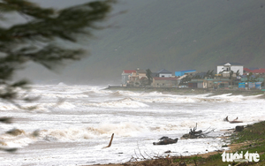 10-meter dead whale washes ashore on Vietnam island amid storm Bualoi- Ảnh 4.