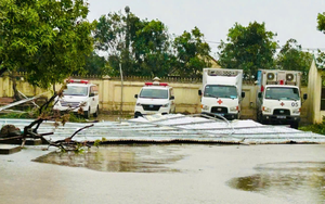 Storm Bualoi leaves 19 dead, 13 missing, widespread destruction in Vietnam - Ảnh 4.