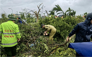 Storm Bualoi leaves 19 dead, 13 missing, widespread destruction in Vietnam - Ảnh 2.