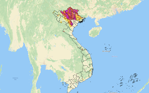 Hà Nội mưa lớn: Phụ huynh bấn loạn tìm cách đón con, có trường cho học sinh ngủ lại - Ảnh 5.
