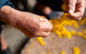 Paving Vietnam’s path to food security amidst climate change  - Ảnh 2.