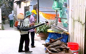 Dengue surge intensifies across Vietnam, with southern region hit hardest  - Ảnh 4.