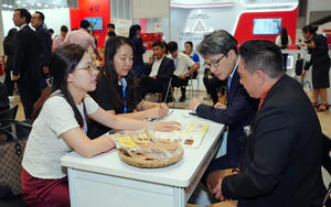 What are US, South Korean, British buyers looking for in Vietnam?- Ảnh 2.