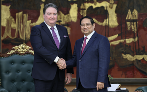 Vietnam awards Friendship Order to US ambassador - Ảnh 4.