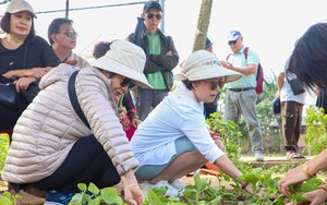 Foreign tourists experience traditional Tet activities on Da Nang beach - Ảnh 8.