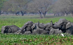 India's landmark tax ruling on investments via Mauritius rattles global investors- Ảnh 4.