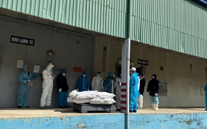 Vietnamese quarantine official detained for allegedly taking bribes from scandal-ridden Halong Canfoco- Ảnh 2.