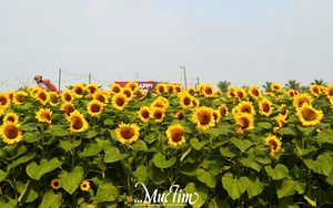 Đã đến mùa chụp ảnh Tết - Ảnh 2.