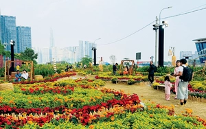 Mời bạn tham gia sân chơi viết chủ đề Chuyến xe mùa xuân - Ảnh 2.