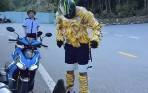 Foreign tourists fascinated by wild monkeys on Da Nang’s Son Tra Peninsula - Ảnh 11.