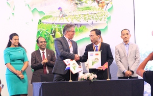Horticulture gains ground in Vietnam’s Mekong Delta, fragmented production limits exports: Dutch embassy- Ảnh 3.