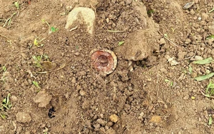 Vietnam’s Ca Mau hands over 1.5 tonnes of war-era bombs - Ảnh 2.