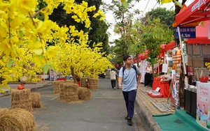 Có gì tại Lễ hội Tết Việt Bính Ngọ diễn ra tại Nhà văn hóa Thanh niên TP.HCM? - Ảnh 3.