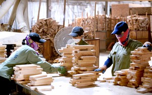 Wood industry enters new race in Vietnam: Competing through knowledge, operational capabilities - Ảnh 4.