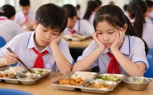Ho Chi Minh City to inspect school meal suppliers this month- Ảnh 4.