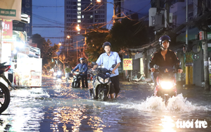 Ho Chi Minh City needs comprehensive solutions to tackle flooding: experts - Ảnh 2.
