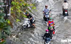 How can Vietnam race to become rich before it grows old: expert - Ảnh 4.