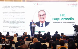Vietnam-EFTA trade deal opens door to higher supply chain standards- Ảnh 3.