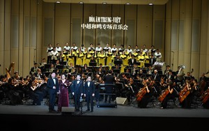 Vietnamese theater production 'Ao quan' wins Special Work Award in S.Korea- Ảnh 5.