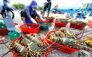 Vietnam's import-export turnover nears $1trn, trade deficit hits nearly $18bn - Ảnh 3.