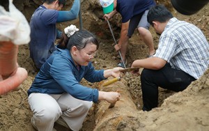 Da Nang boosts FDI attraction to drive industrial growth- Ảnh 5.
