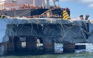 Vietnam suspends maritime pilot after Marshall Islands-flagged ship hits Dung Quat wharf- Ảnh 3.