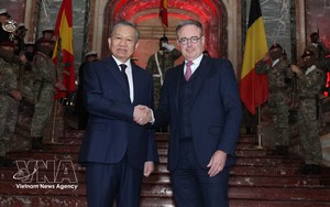 Belgium’s Flanders and Wallonia ready to expand cooperation with Vietnam - Ảnh 4.