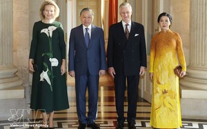 Belgium’s Flanders and Wallonia ready to expand cooperation with Vietnam - Ảnh 5.