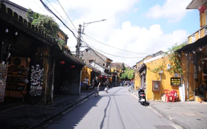 Vietnam’s Hoi An sees 20% drop in visitors, bookings surge from November - Ảnh 3.