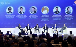 Vietnam’s rapid, sustainable growth to reinforce strategic autonomy: PM Le Minh Hung - Ảnh 5.