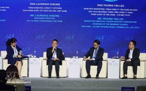Global cooperation key to Ho Chi Minh City’s growth ambitions: international experts - Ảnh 2.