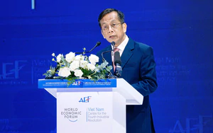What does Ho Chi Minh City need to become magnet for global capital? - Ảnh 3.