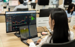 Vietnam must unlock long-term capital for sustainable growth: experts- Ảnh 6.