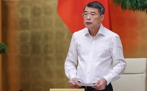 Can Vietnam have both double-digit growth and net zero: Swedish professor - Ảnh 3.