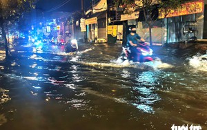 Ho Chi Minh City has nearly $45.5 million natural disaster prevention fund ready for emergencies - Ảnh 5.