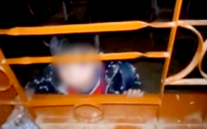 Thousands of new classrooms in Ho Chi Minh City set to open in early 2026 - Ảnh 2.