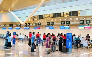 Vietnam’s Khanh Hoa tightens border controls to prevent Nipah virus entry- Ảnh 2.