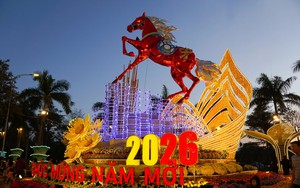 Check-in ngay cụm linh vật ngựa đang 'viral' ở Quy Nhơn (Gia Lai)- Ảnh 16.